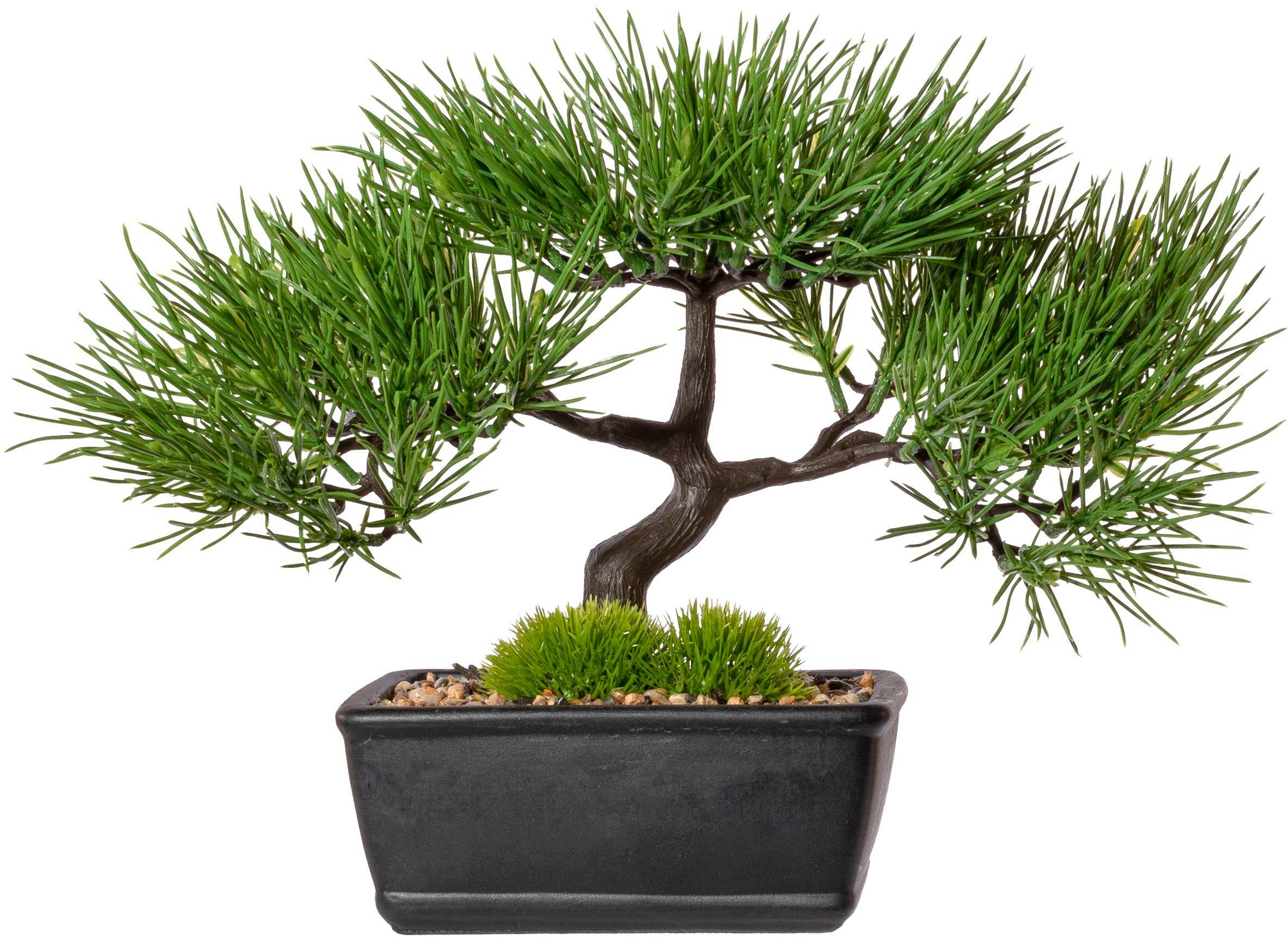 Kunstbonsai Bonsai Kiefer Bonsai, Creativ green, Höhe 23 cm