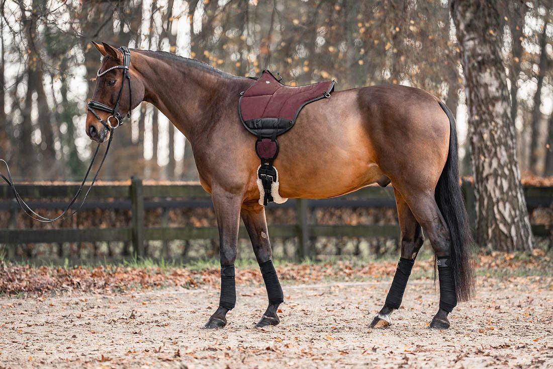 Equinate Wanderreitsattel Reitpad Toledo aus Mikrofaser, aus synthetischem Wildleder