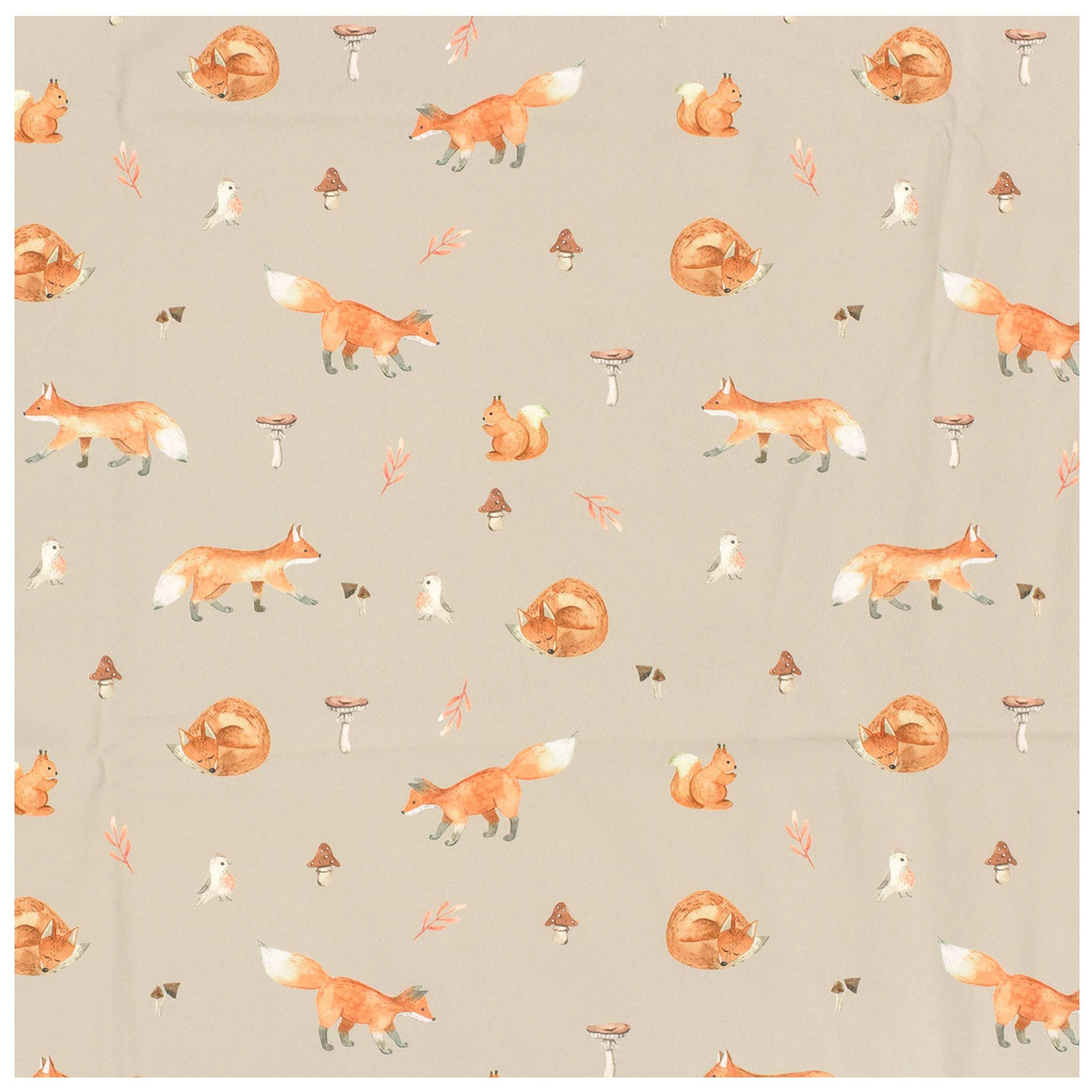 maDDma Stoff Softshell-Stoff mit Kindermotiven Outdoorstoff ab 0,5m Meterware, Fuchs