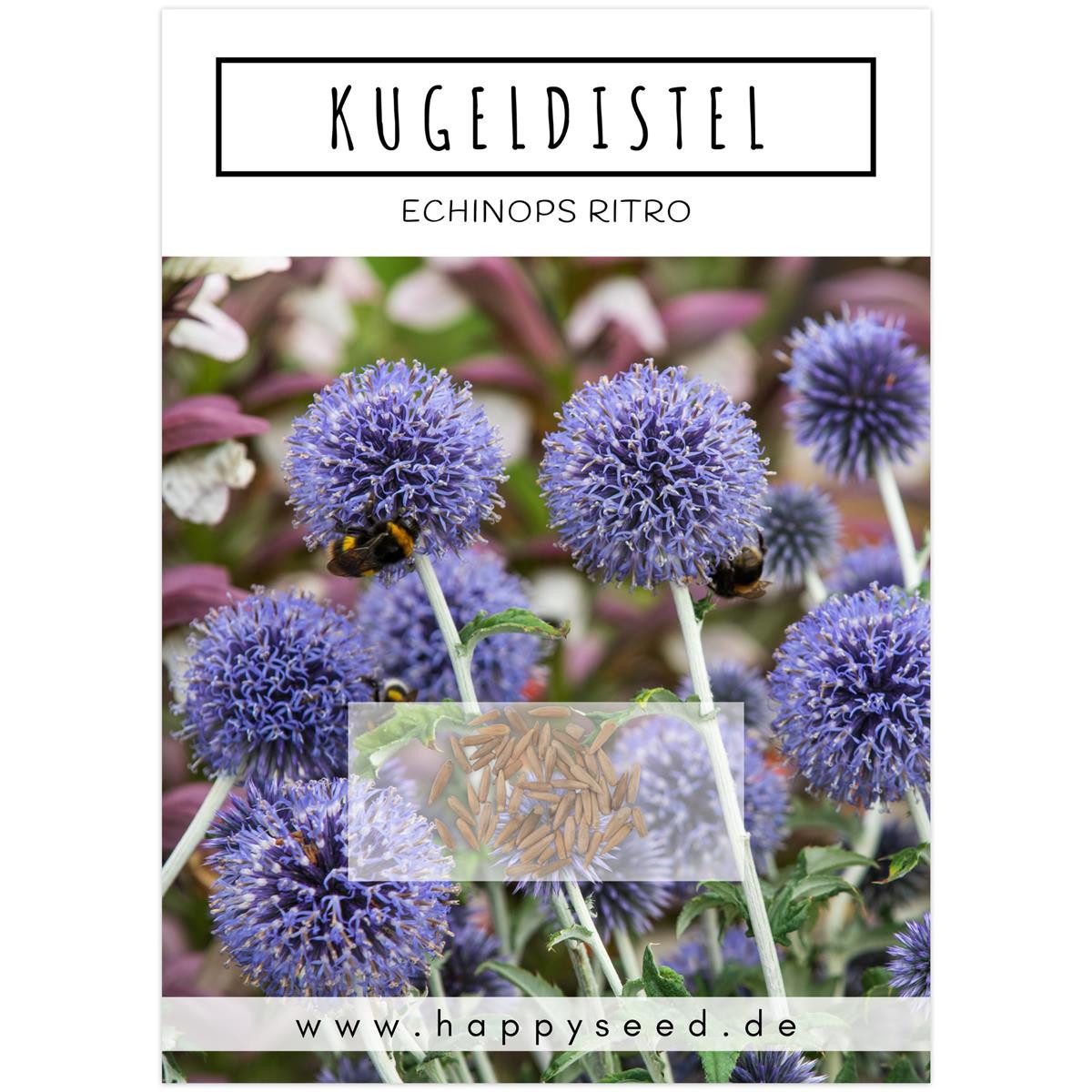 HappySeed Blumensamen Kugeldistel Samen - Echinops ritro, Blumen