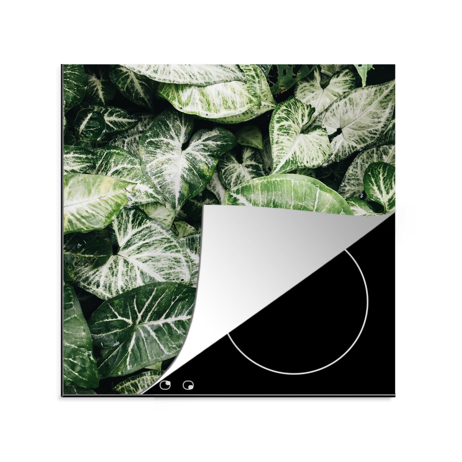 MuchoWow Herdblende-/Abdeckplatte Blätter Vinyl, Ceranfeldabdeckung, tlg), Pflanzen für Arbeitsplatte (1 - 78x78 cm, - küche Grün