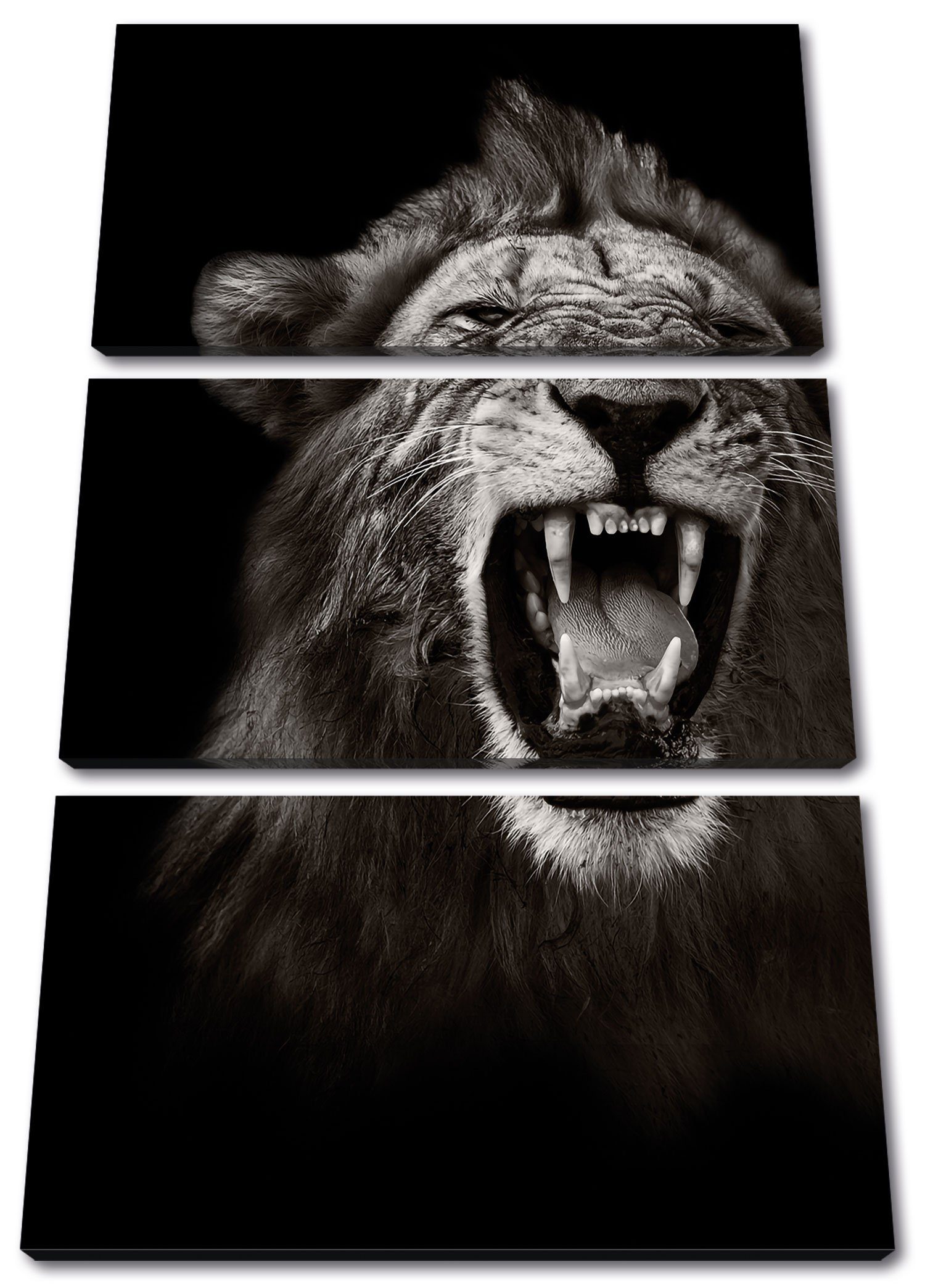 Pixxprint Leinwandbild Dark Brüllender Löwe, inkl. bespannt, fertig Zackenaufhänger Dark Löwe (120x80cm) St), Brüllender 3Teiler (1 Leinwandbild