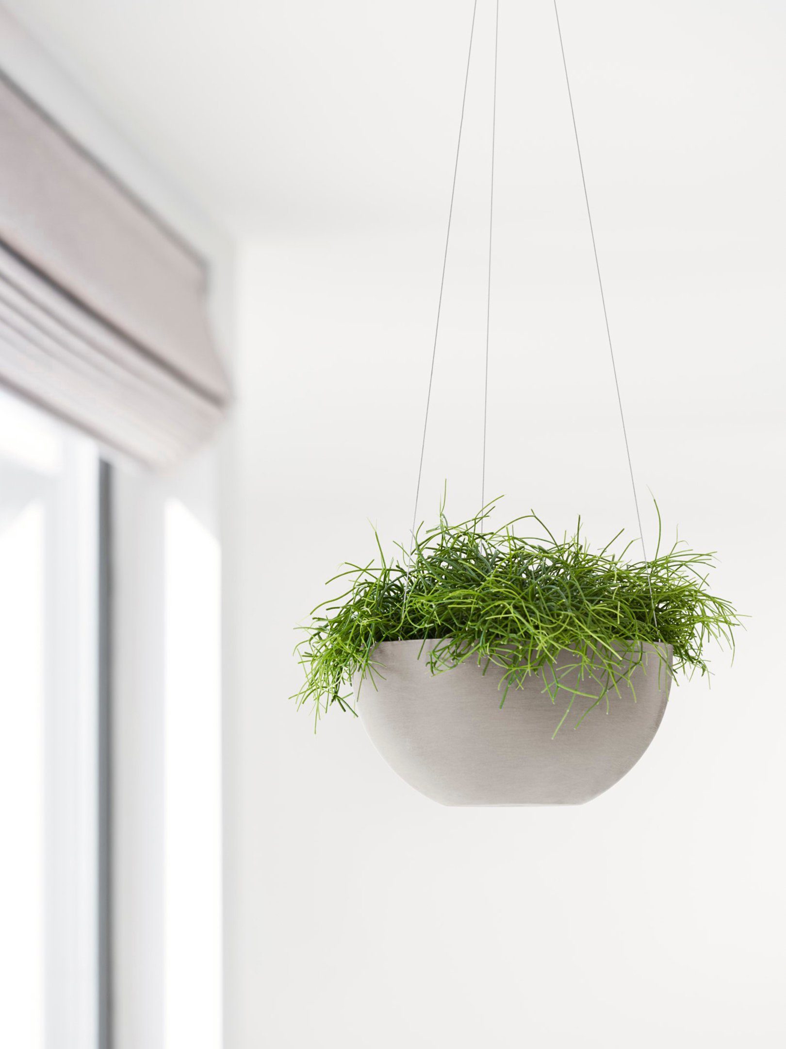 ECOPOTS Blumentopf Brussels hängend 27 Taupe, für innen und außen: frostsic günstig online kaufen