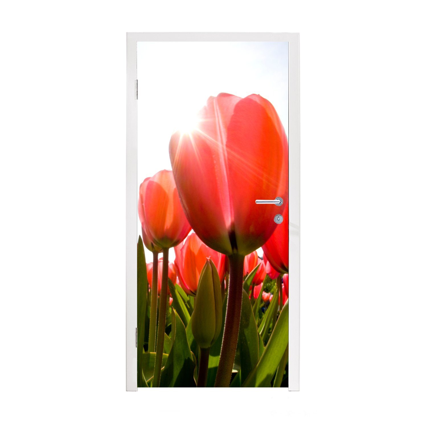 MuchoWow Türtapete Blumen - Tulpen Sonne, Türaufkleber, Matt, Tür, (1 75x205 bedruckt, für St), - Fototapete cm