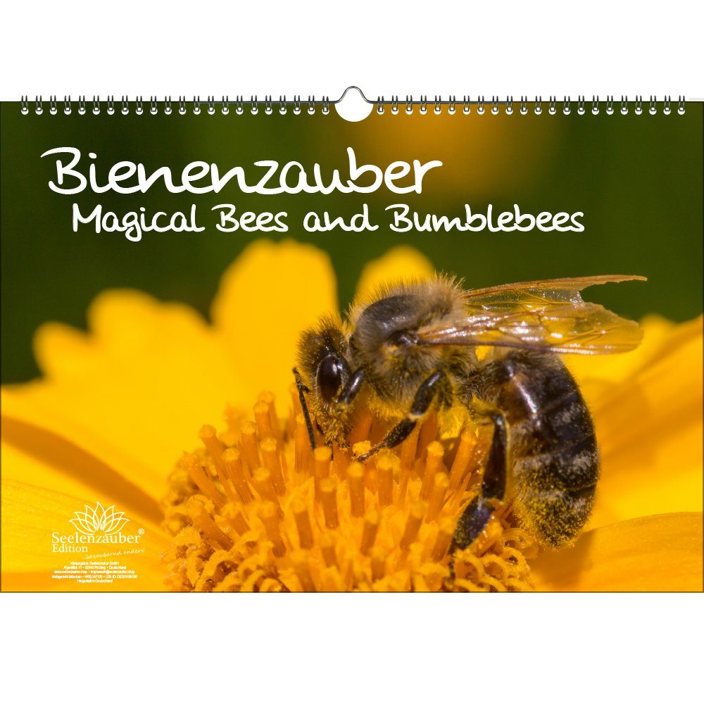 Seelenzauber ewige Kalender Tierzauber Bienen und Hummeln DIN A3 