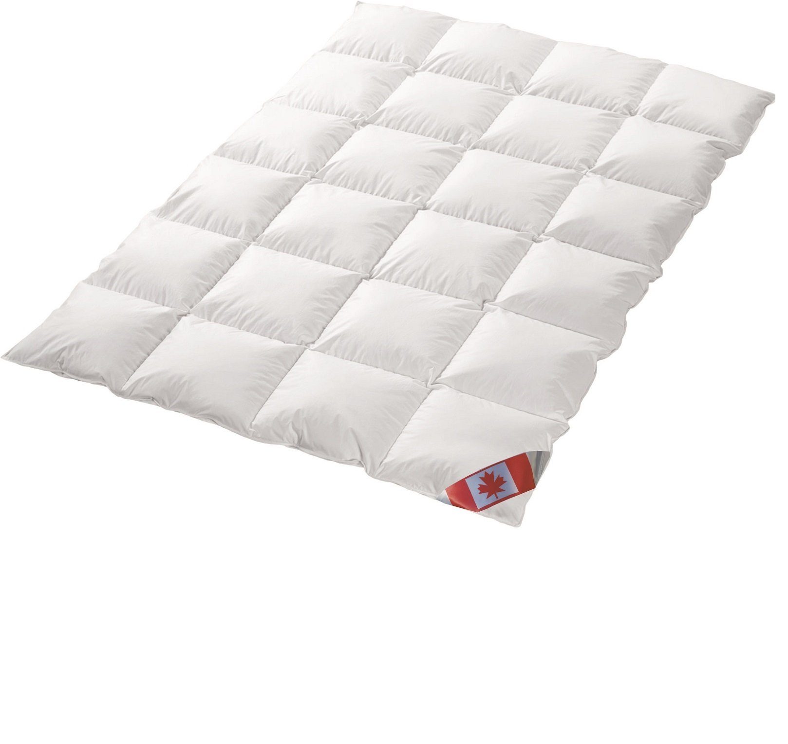 Canada Daunenbettdecke Canada Dreams Luxus Übergangs Daunendecke, Füllung: günstig online kaufen