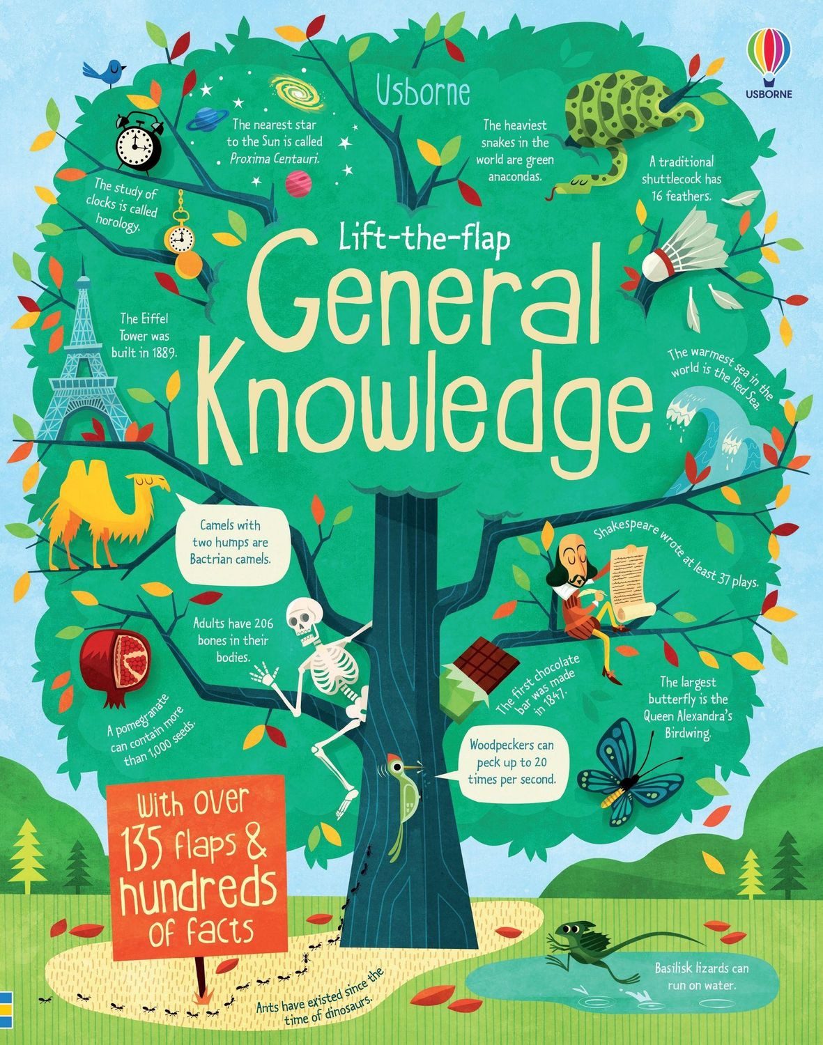 Belletristik Lift-the-Flap General Knowledge With over 135 flaps & hundred of facts Alex Frith, James Maclaine