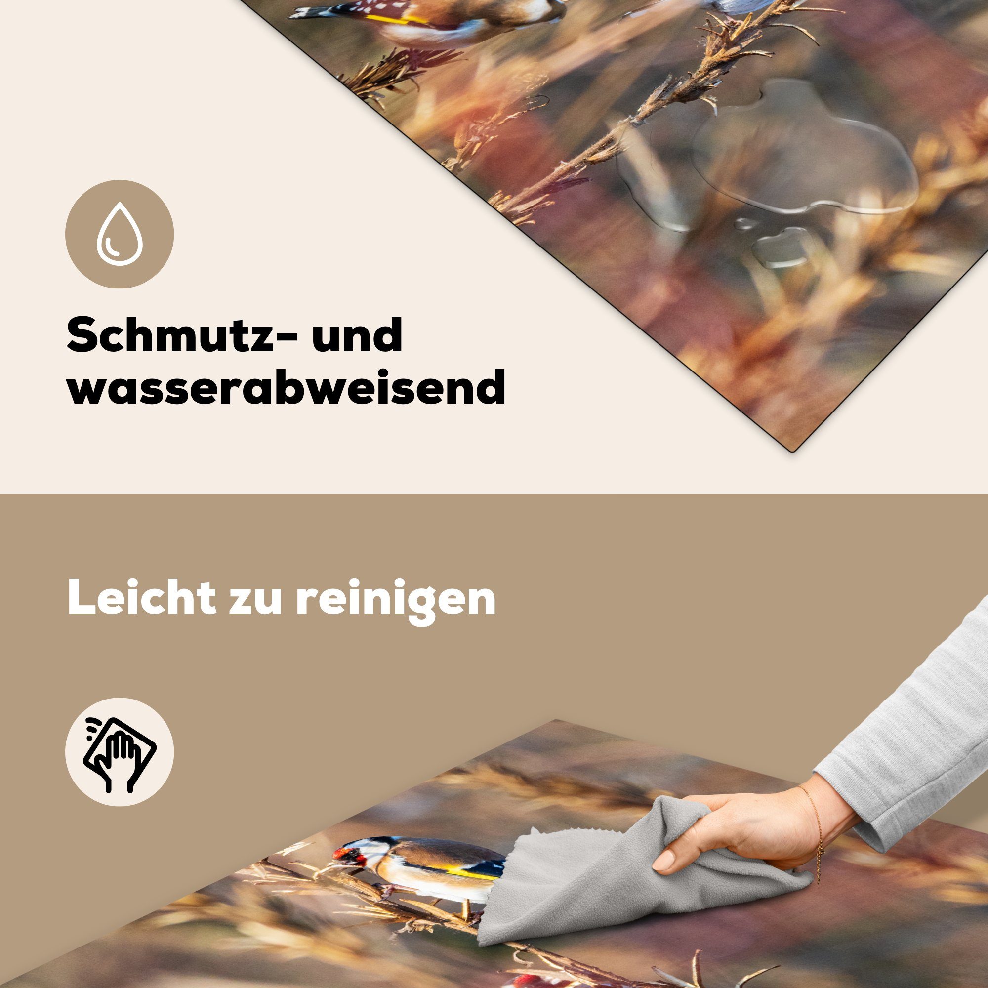 Vinyl, Herdblende-/Abdeckplatte - (1 für Ceranfeldabdeckung, küche MuchoWow Vögel - 78x78 tlg), Arbeitsplatte cm, Äste Wald,