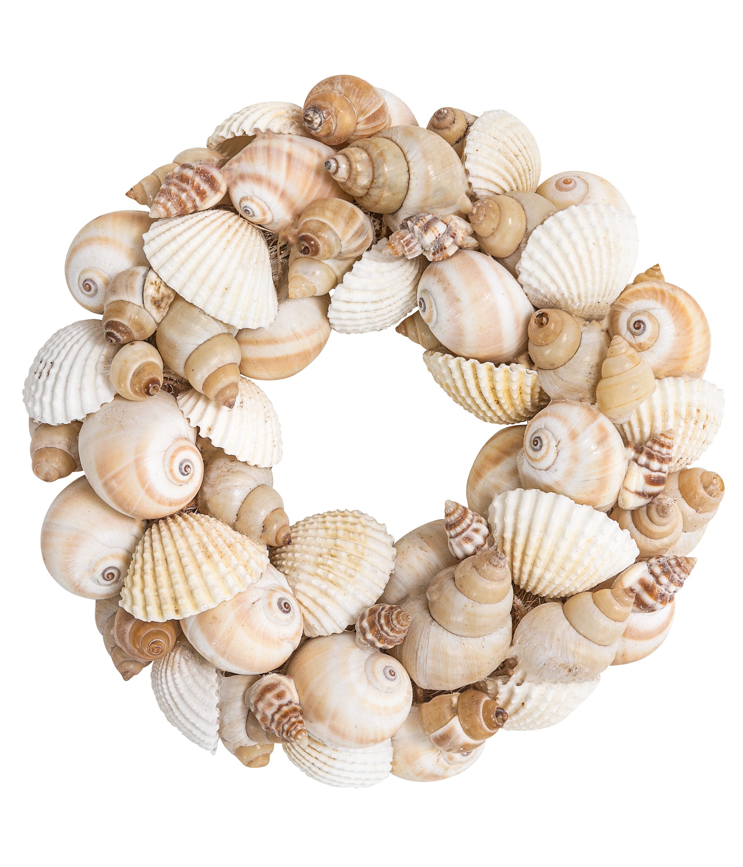 Dehner Dekokranz Deko-Kranz Muschel, Ø 27 cm, Höhe 5 cm, Kunststoff, natur günstig online kaufen
