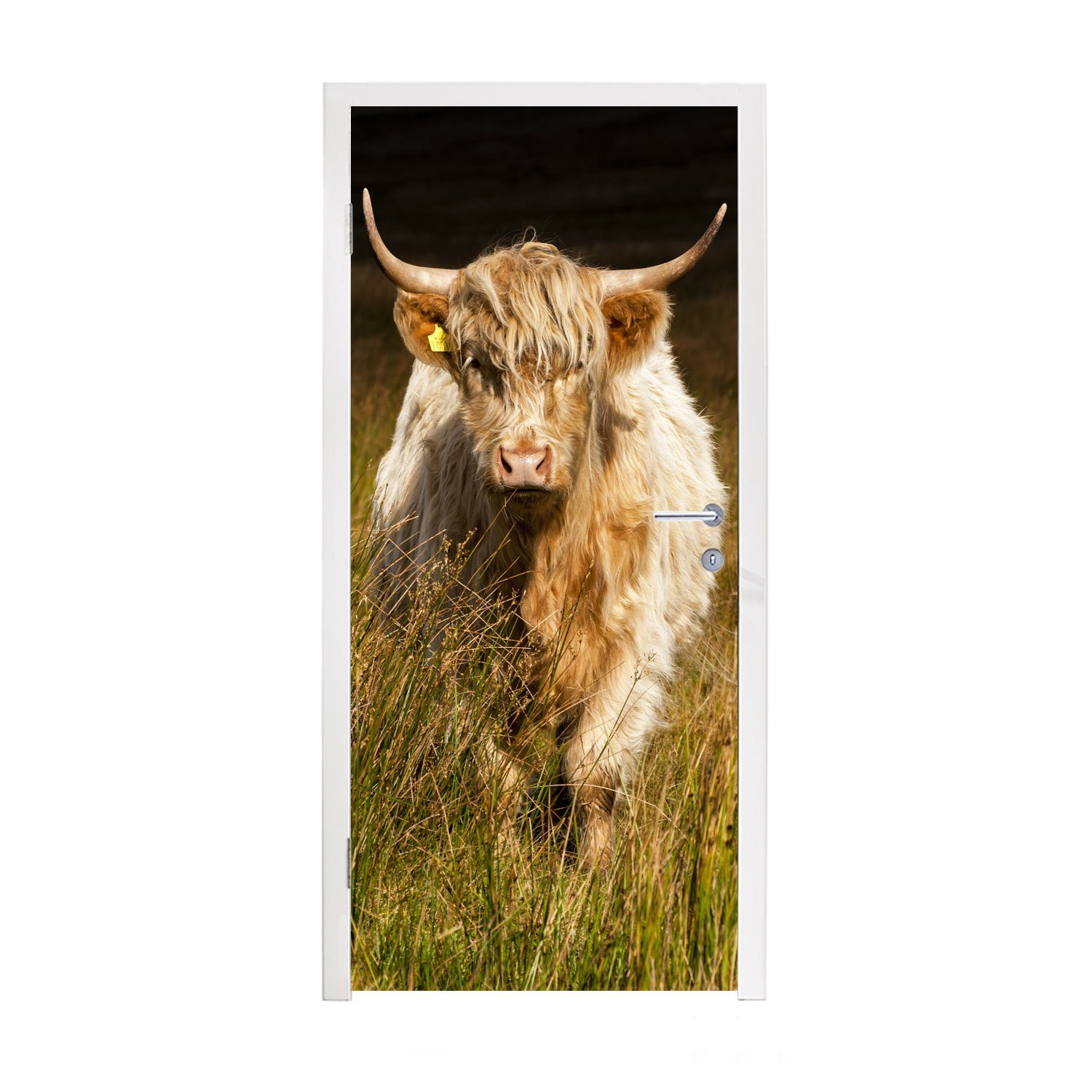 MuchoWow Türtapete Schottischer Highlander - Porträt - Gras, Matt, bedruckt, (1 St), Fototapete für Tür, Türaufkleber, 75x205 cm