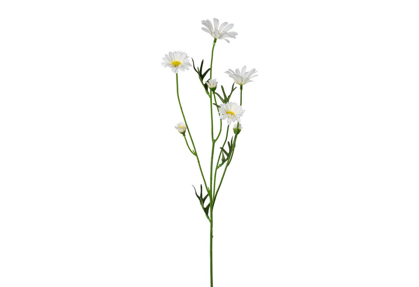 Kunstblume Künstlicher Margeriten-Zweig 61cm. Kunstblume Margerite, 7 Blüten Weiß, Gasper, Höhe 61.00 cm