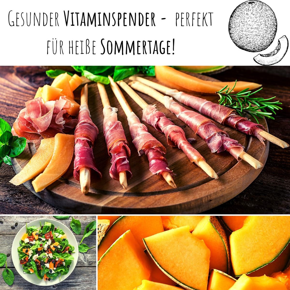 HappySeed Blumensamen Zuckermelone Samen - Cucurbita melo, Obst – Bild 5 von 5