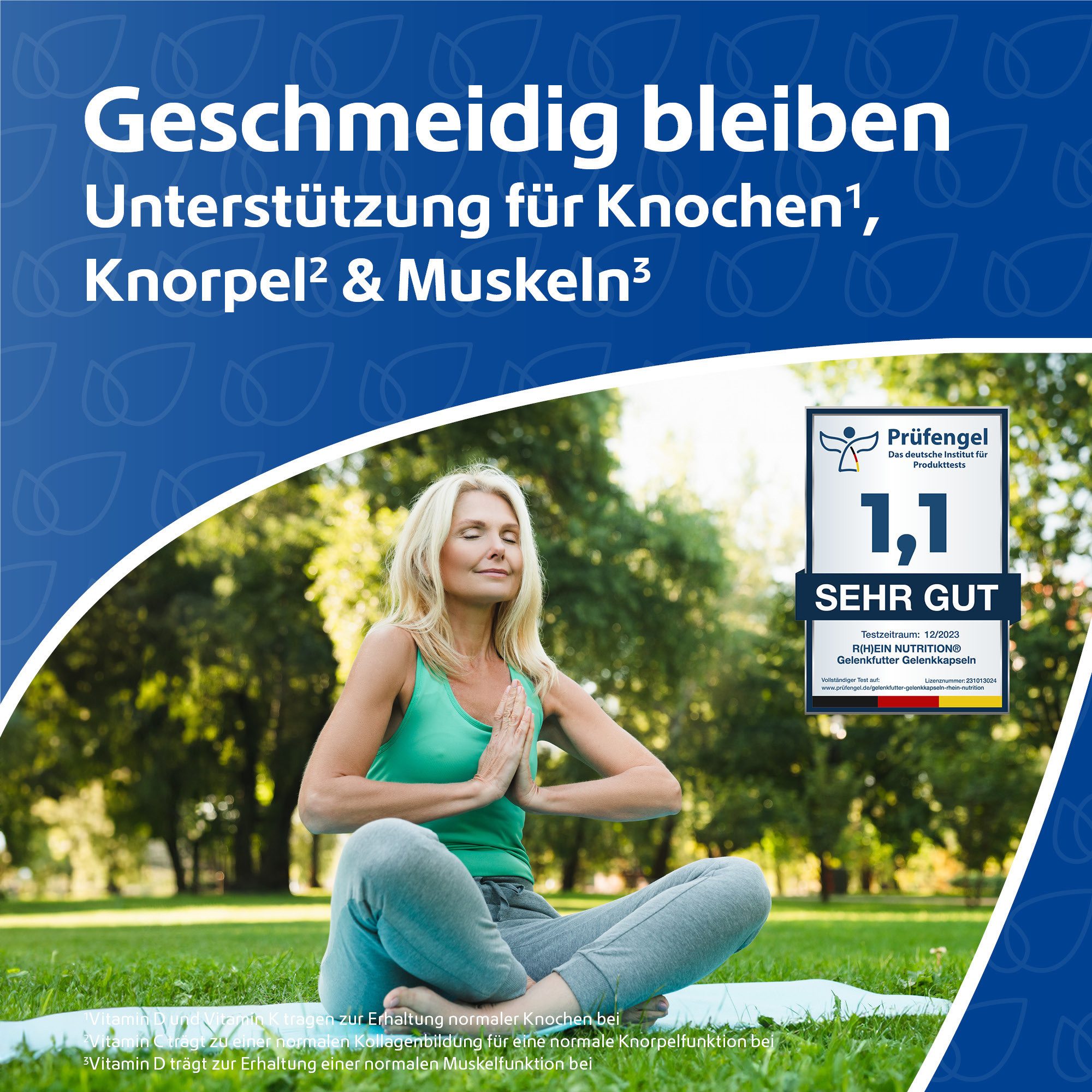 R(h)ein Nutrition Gelenkfutter Gelenkkapseln Kapseln, 240 St., 129.9 g