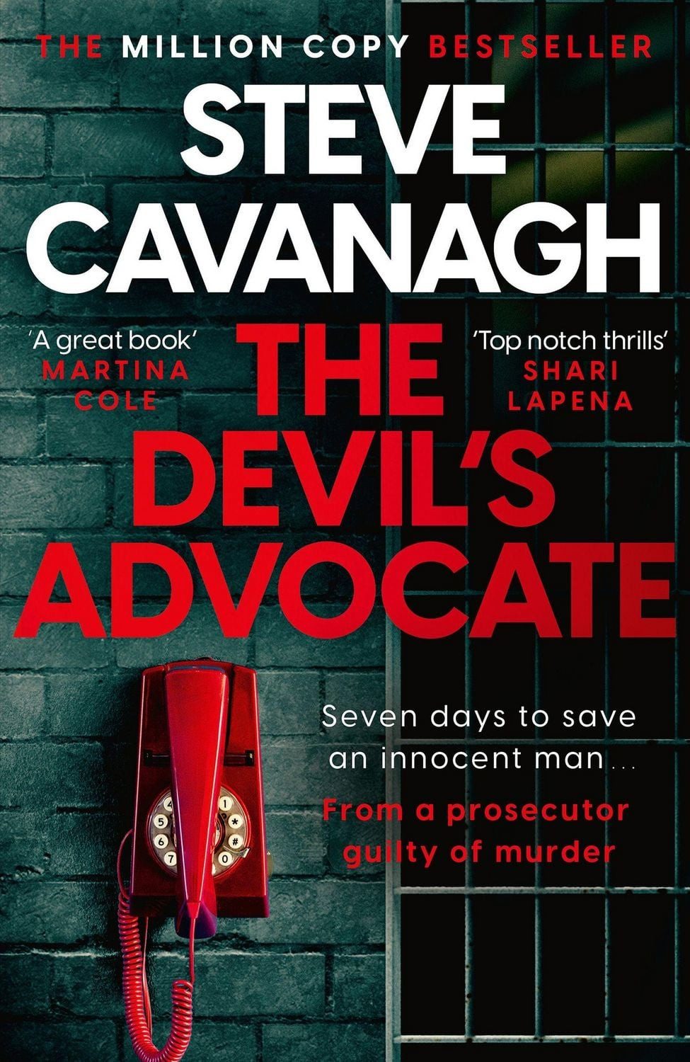 The Devil's Advocate / Steve Cavanagh