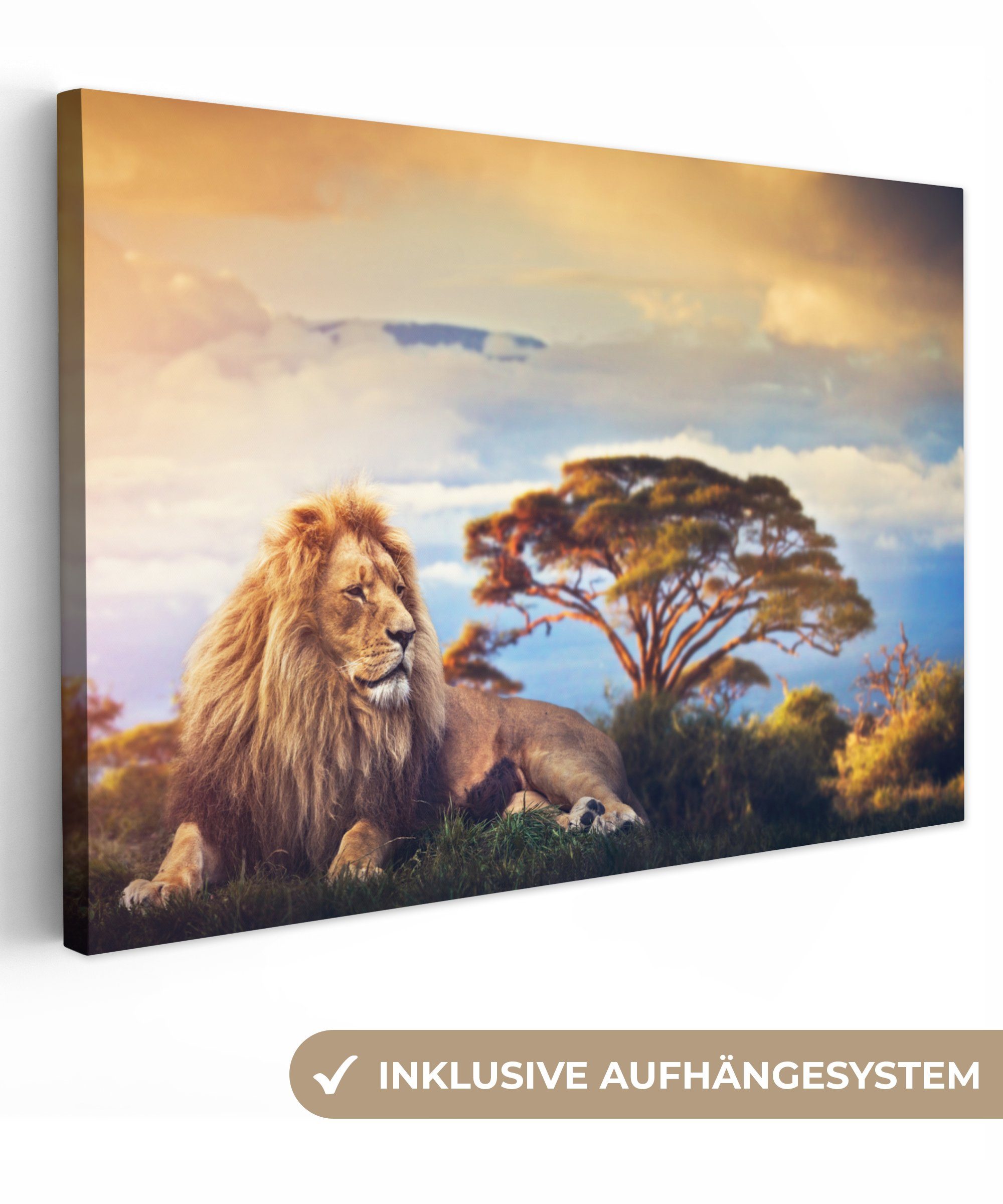 OneMillionCanvasses® Leinwandbild Löwe - Kunstdrucke - günstig online kaufen