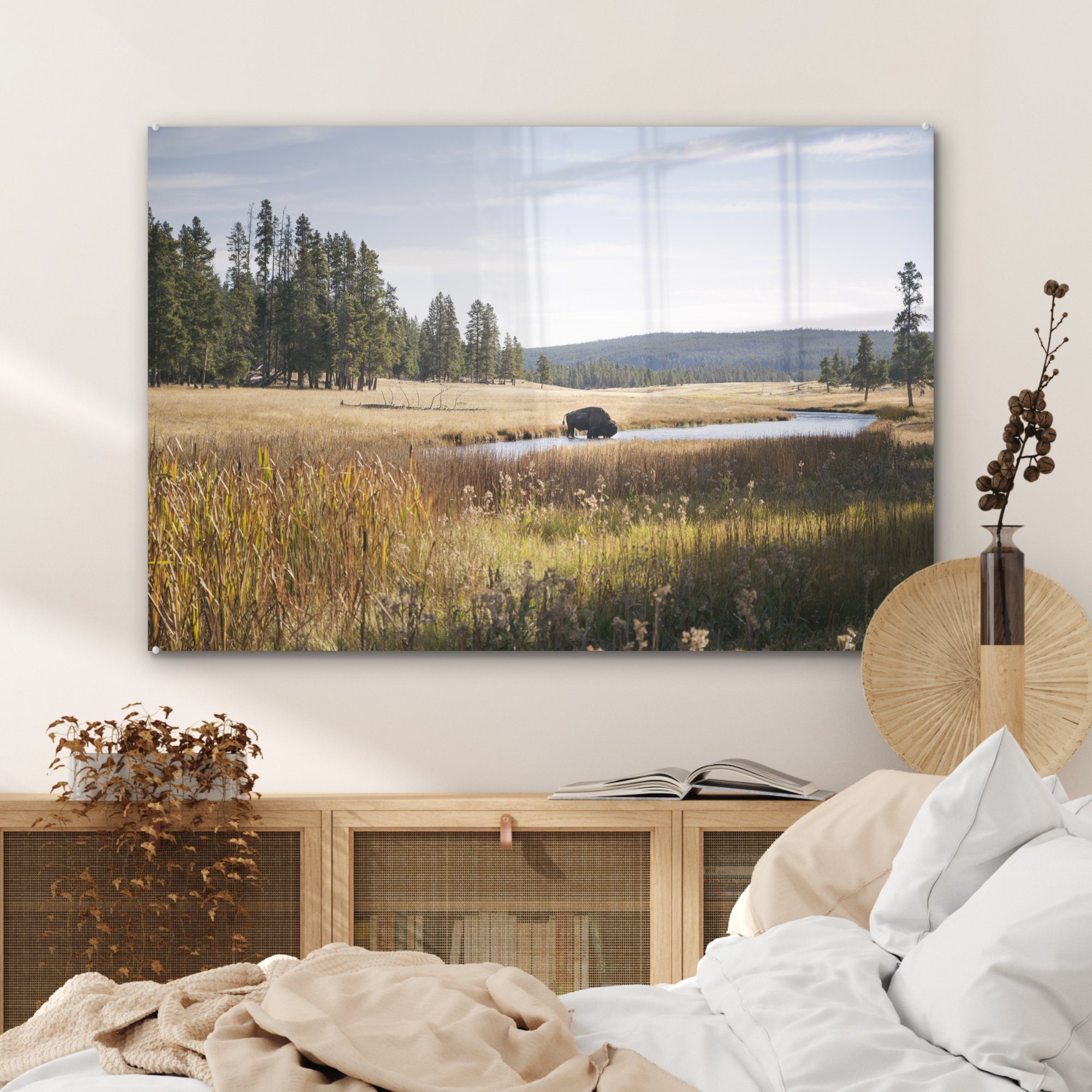 Wohnzimmer Schlafzimmer MuchoWow St), Acrylglasbilder - Wisent Wasser, (1 Acrylglasbild & - Yellowstone