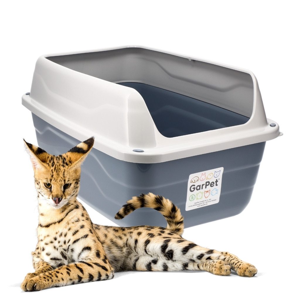 Katzentoilette XXL Extra hohe Katzentoilette offene Katzenklo mit hohem Rand