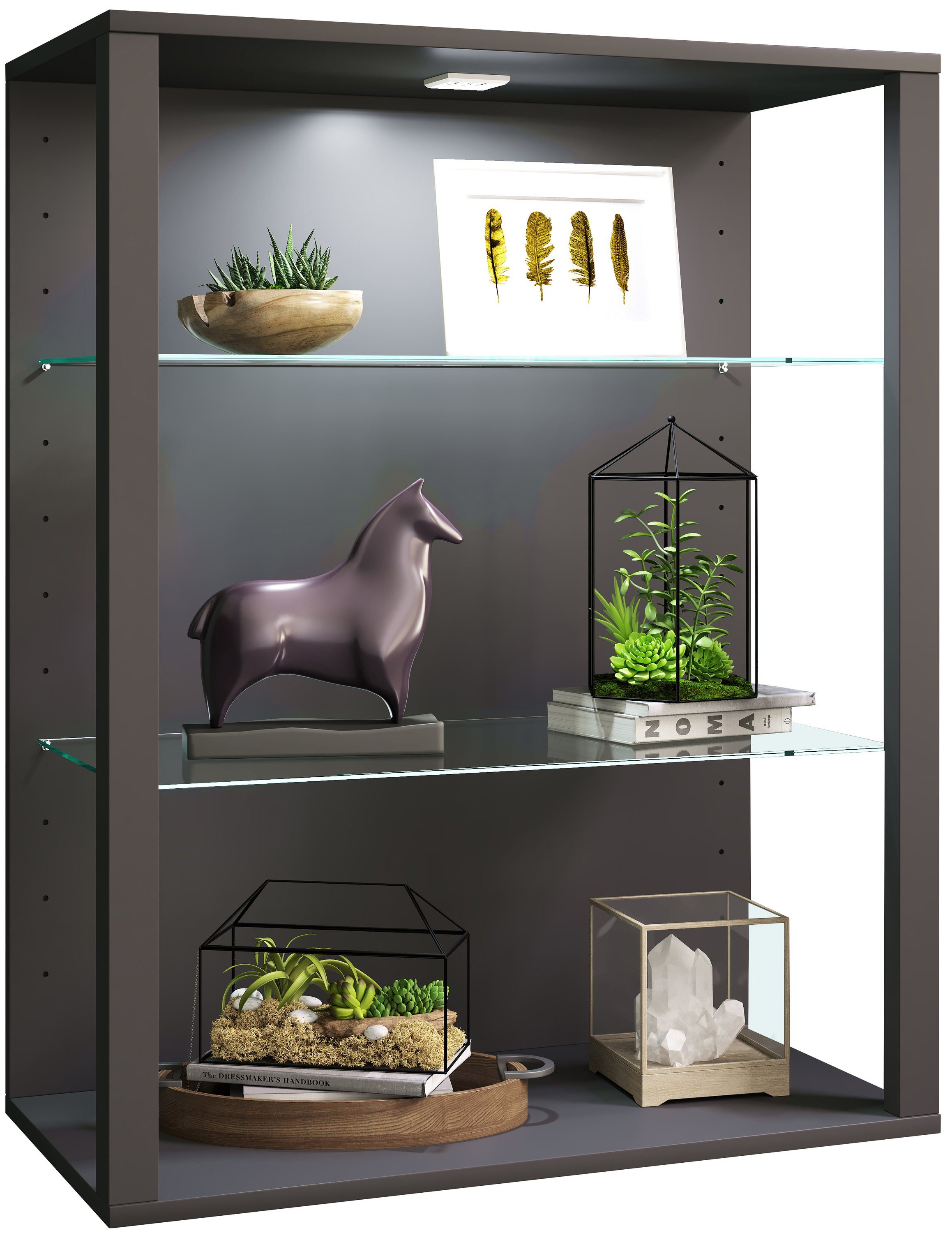 VCM Hängevitrine olz Glas Stand Vitrine Sammelvitrine Glasol LW