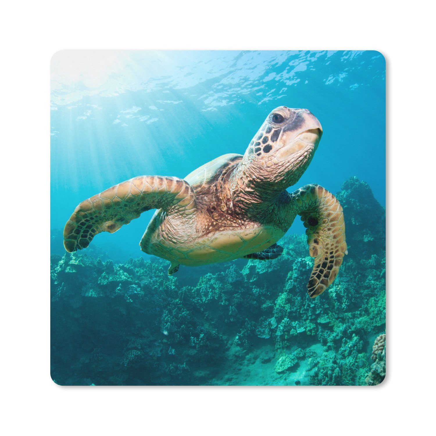 MuchoWow Gaming Mauspad Schwimmende Schildkröte Fotodruck (1-St), Gaming, Rutschfester Unterseite, Mausunterlage, 80x80 cm, XXL, Großes