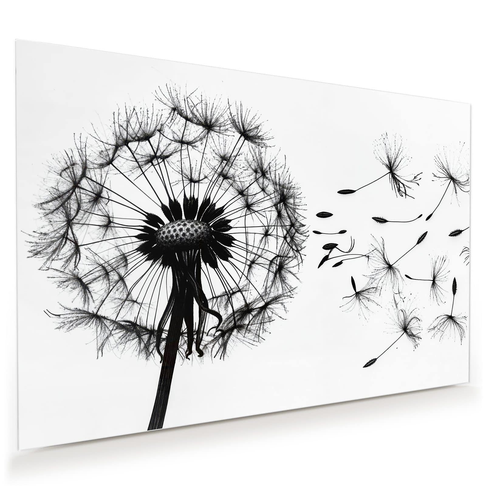 Glasbild Wandbild Pusteblume mit Aufhängung
