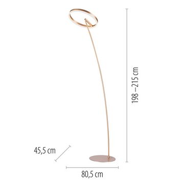 Paul Neuhaus Stehlampe TITUS, LED fest integriert, Warmweiß, LED, dimmbar über Schnurdimmer