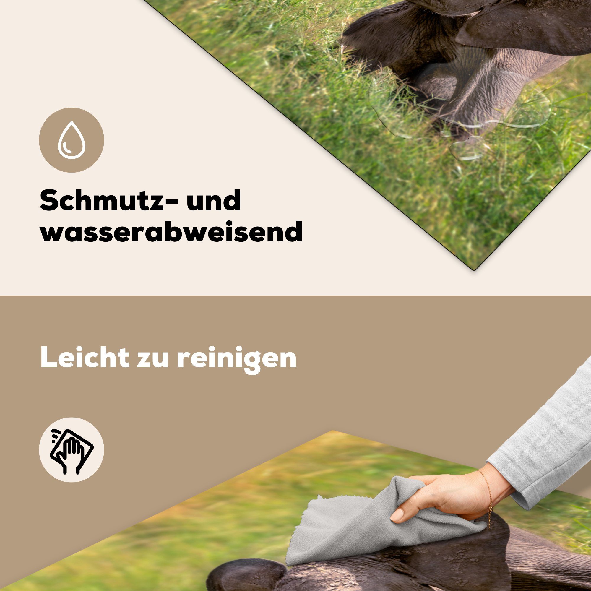 (1 Herdblende-/Abdeckplatte für 78x78 Vinyl, Elefant MuchoWow cm, Gras Tiere, - tlg), - küche Ceranfeldabdeckung, Arbeitsplatte