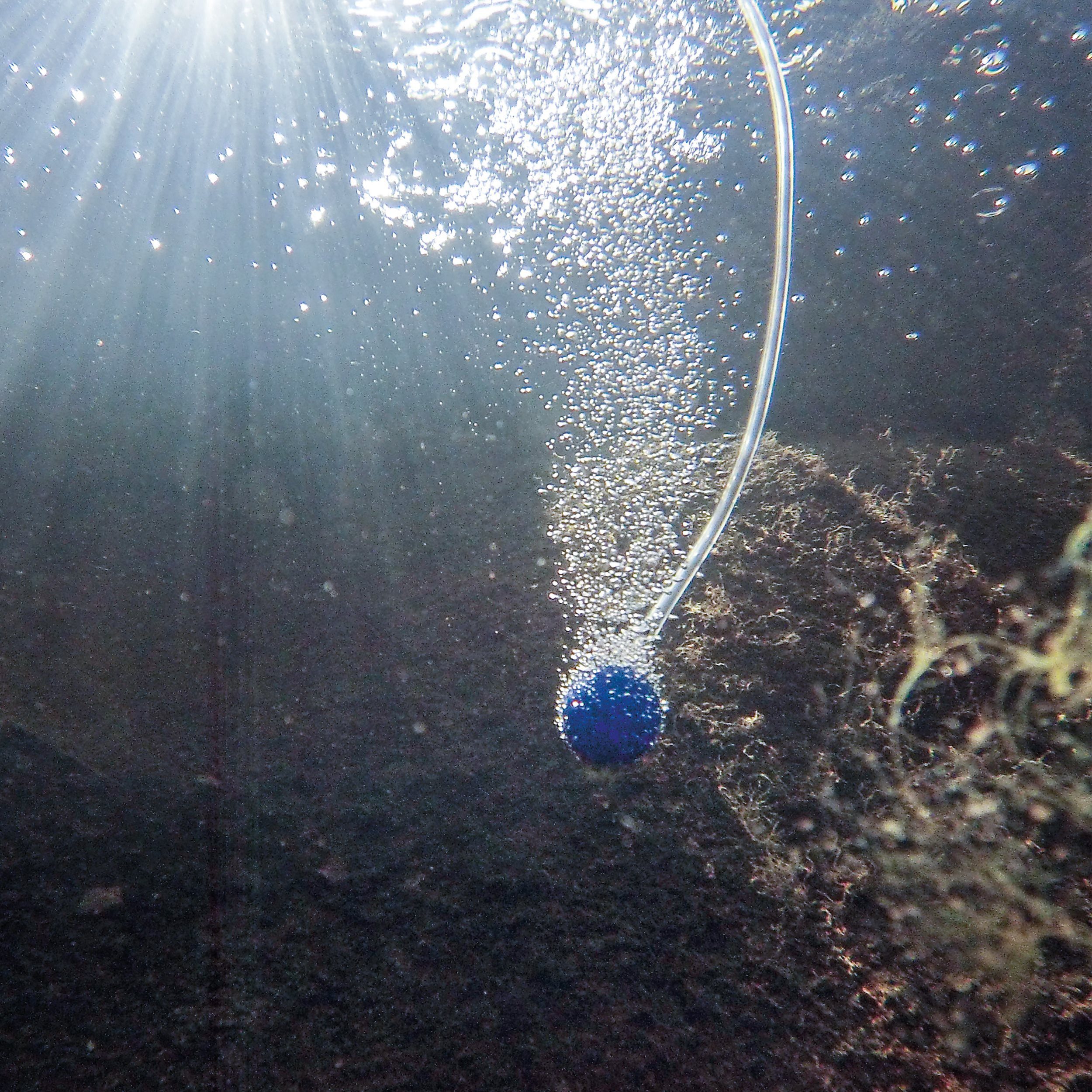 esotec Teichbelüfter 2/130 Solar Belüfterpumpen-Set 130l/h, 6-9V/DC, Solarmodul 2Wp 101840, 130 l/h, (Komplettset)