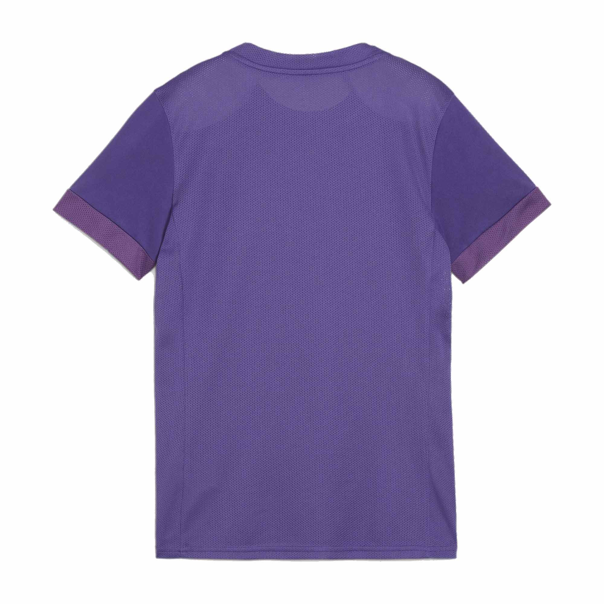 PUMA Fußballtrikot Puma Damen Trikot teamGOAL günstig online kaufen
