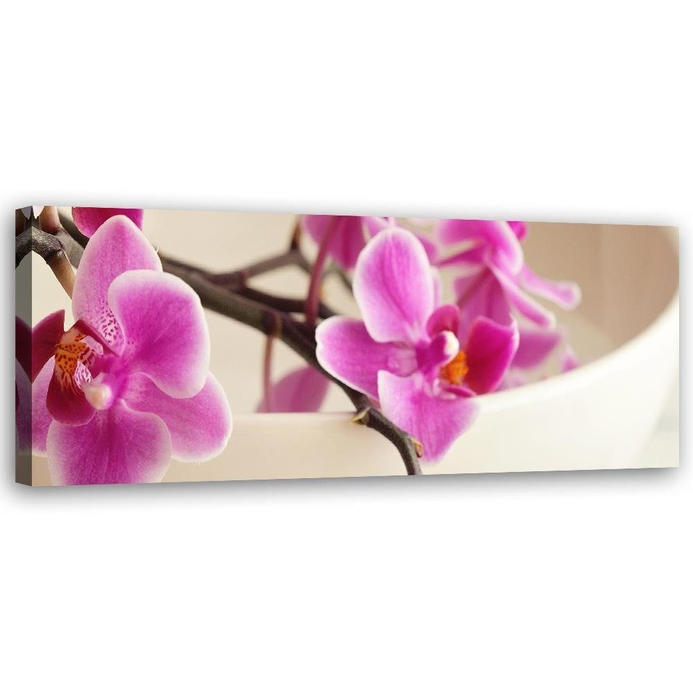 Leinwand-Bild Kunstdruck Hochformat 50x100 Bilder Rosa Orchidee 