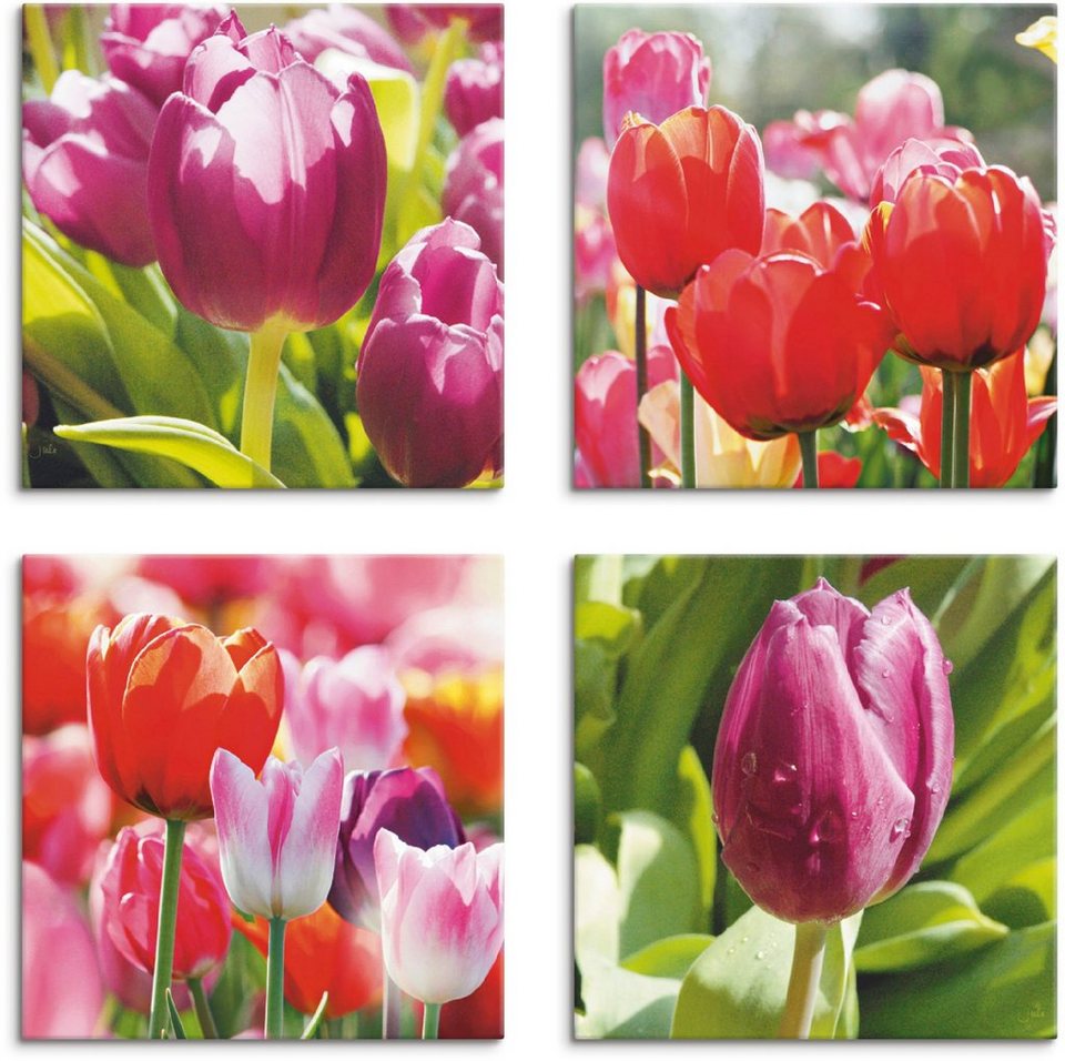 Artland Leinwandbild Frühling und Tulpen, Blumen (4 St), 4er Set, verschiedene  Größen