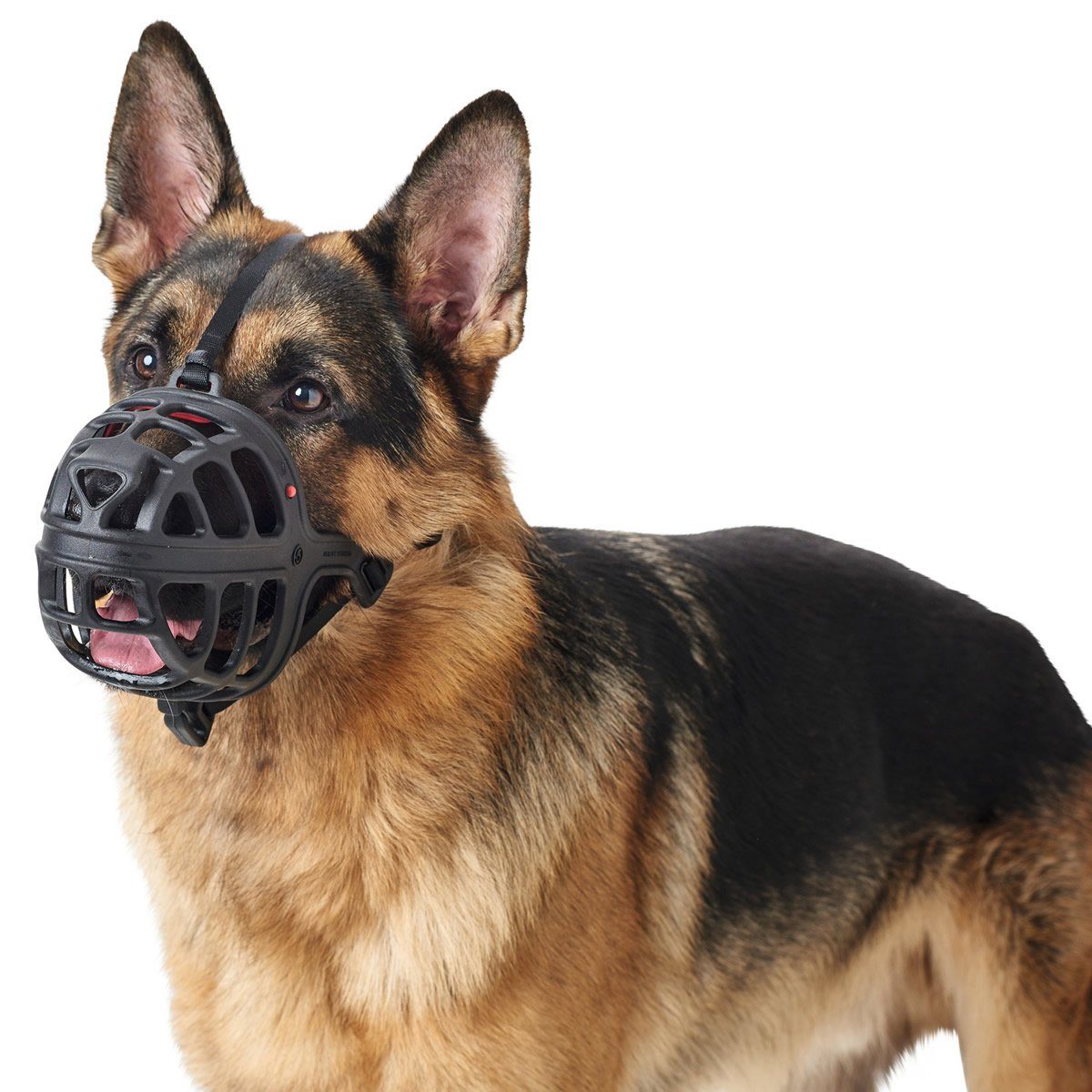 Hunter Tierbedarf Maulkorb Maulkorb Albury schwarz