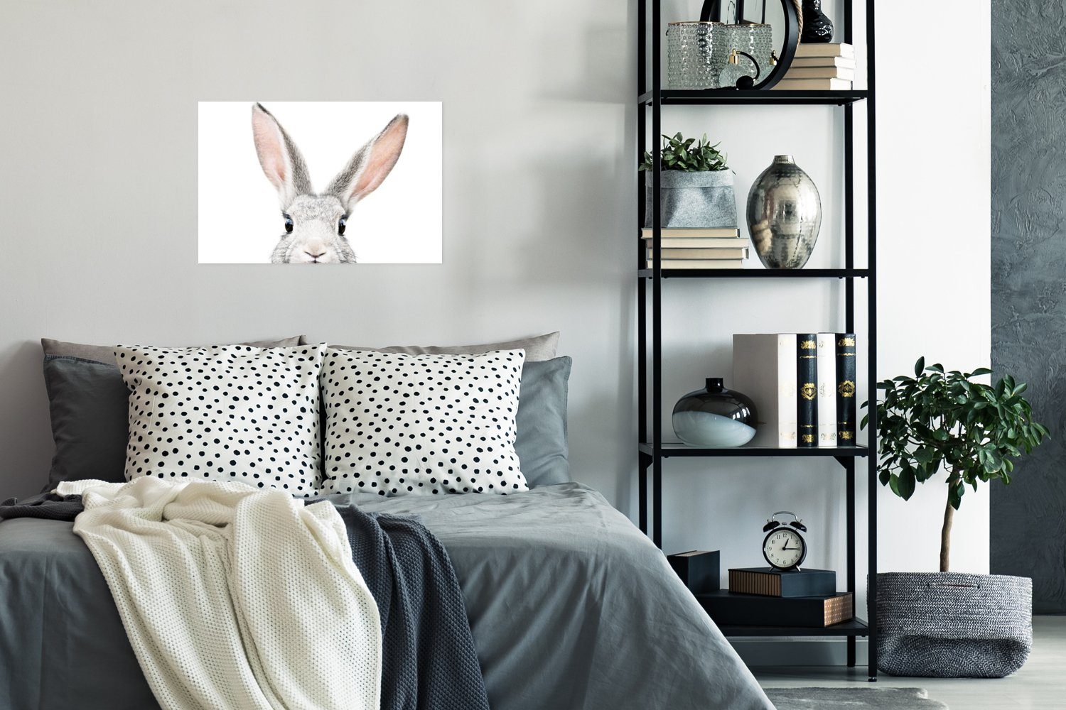 (1 Wandbild, Kaninchen Ohne - Wandposter - MuchoWow Poster, St), Wohnzimmer, Poster Weiß, Natur für Tiere Rahmen -