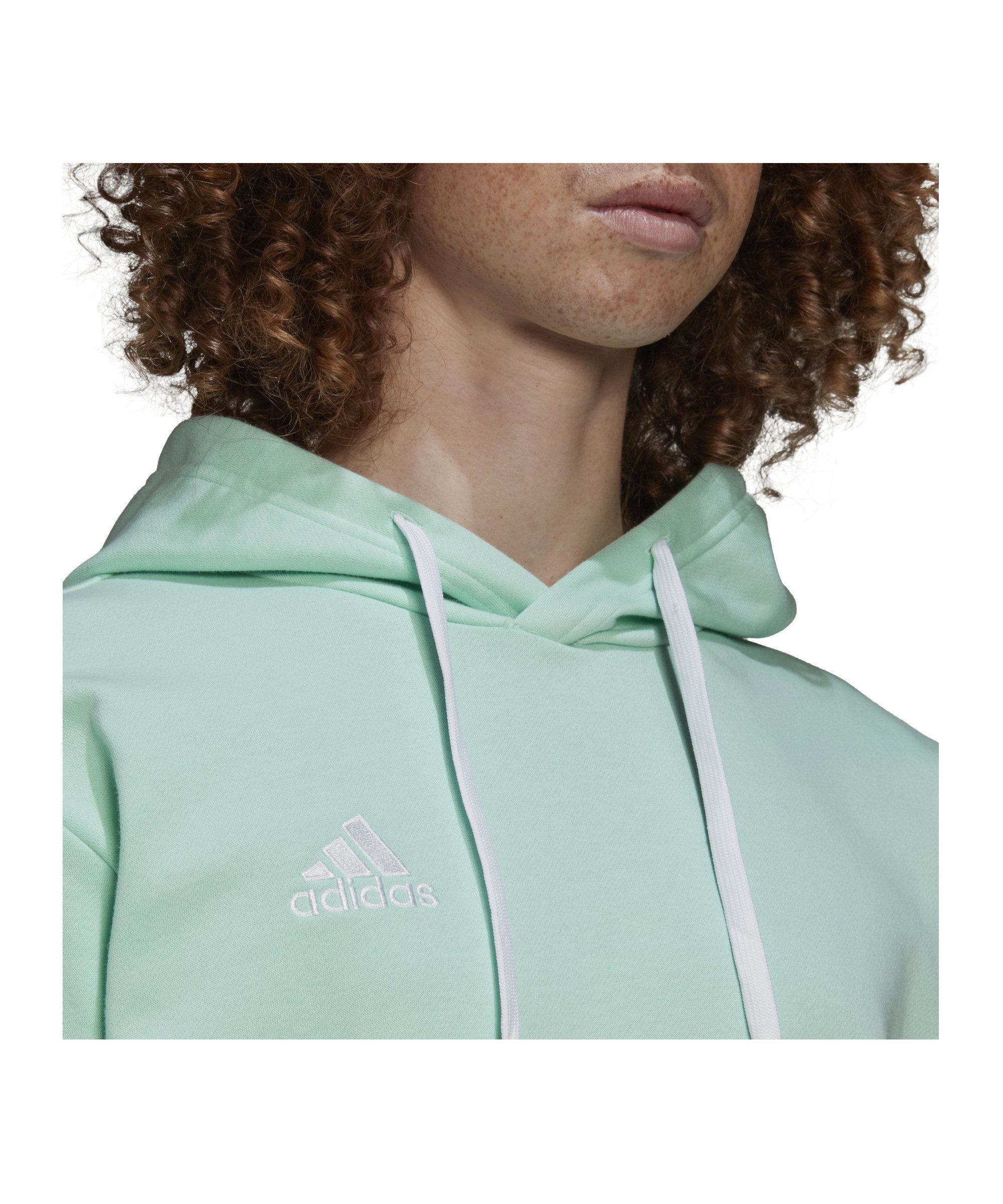 adidas Performance Sweatshirt adidas Performance Entrada 22 Hoody Herren Ba günstig online kaufen