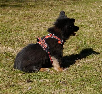 Luchs und Hase Hunde-Geschirr (S, Rot)