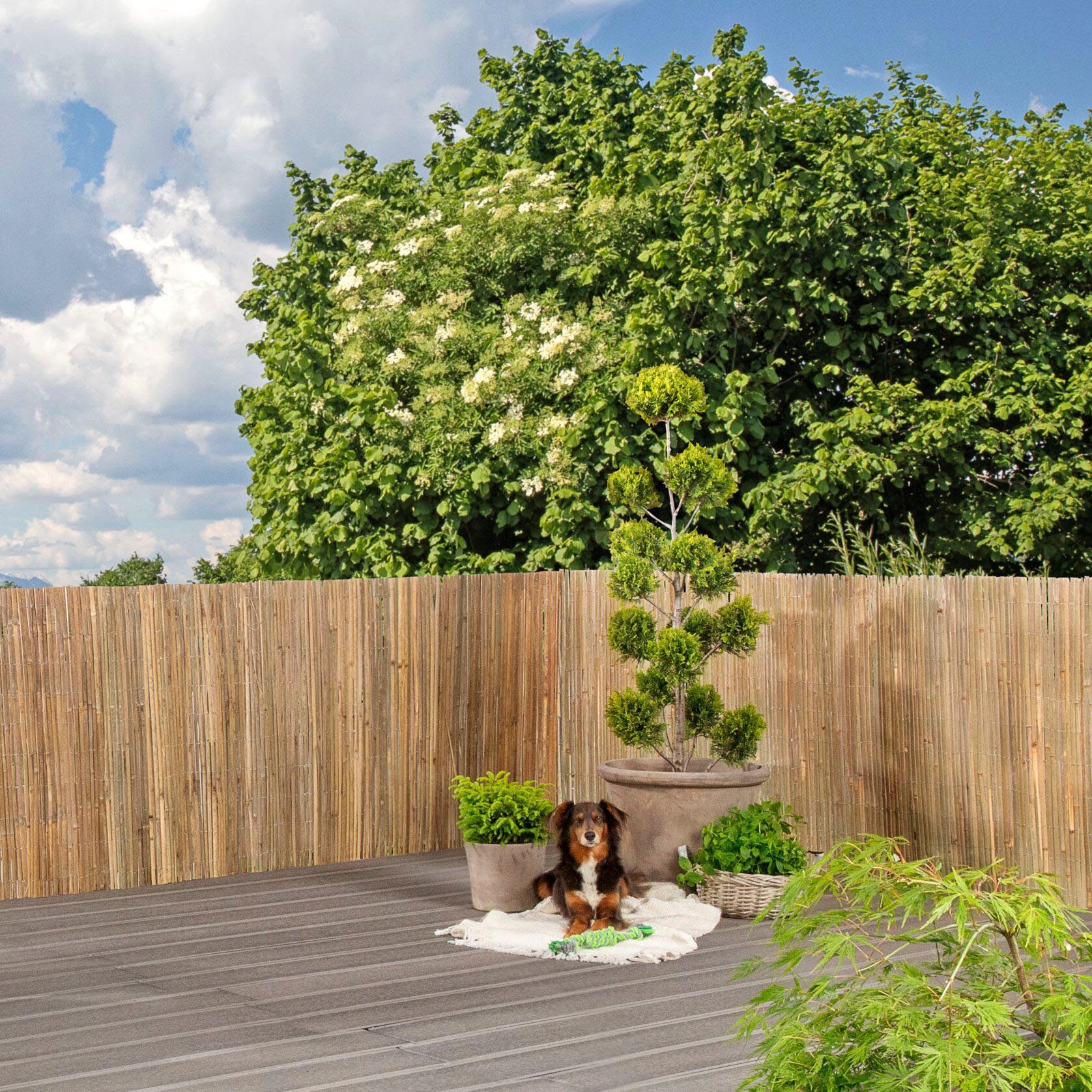 Windhager Sichtschutzzaunmatten, natürlicher Sicht- und Windschutz für Balkon und Terrasse, L: 3 m