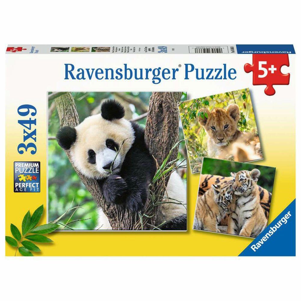 Ravensburger Puzzle Panda Tiger und Löwe 3 x 49 Teile, 49 Puzzleteile