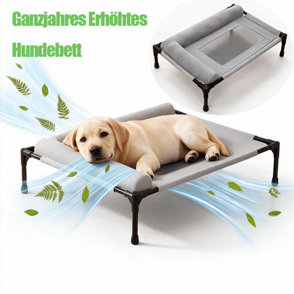Hausprofi Tierbett Hund Erhöhtes Hundebett Outdoor für Kleine und Mittelgroße Hunde, Velours & Eisengestell, mit L-förmiges Nackenkissen, Atmungsaktive, 66×45×17cm Grau