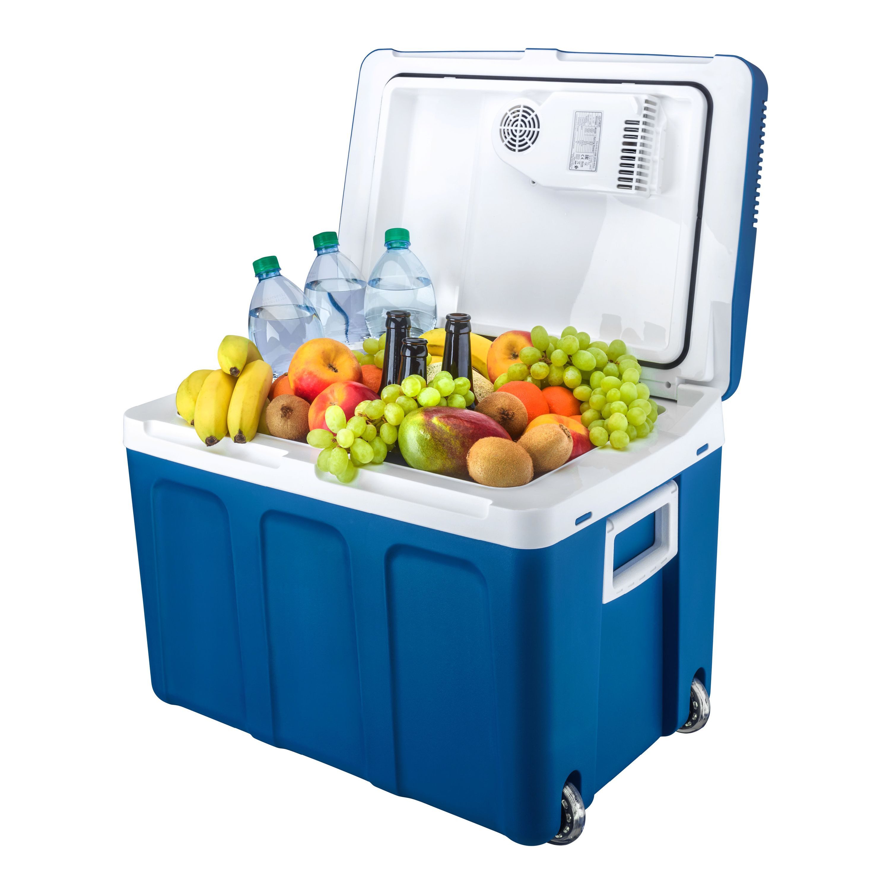 TZS FIRST AUSTRIA Elektrische Kühlbox Mobil Kühlschrank 45L, 12V /230V Anschluss, 12-V-Stecker fürs Auto, für Camping, Festivals, Reisen, Kühlen & Warmhalten