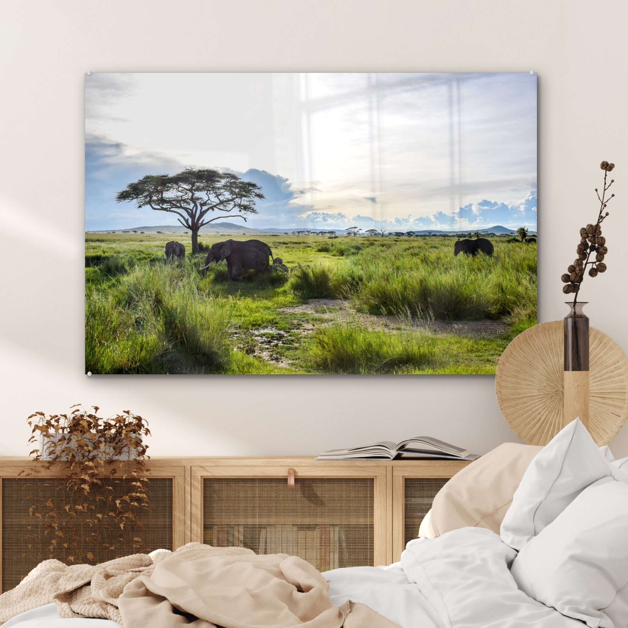 Tiere St), Schlafzimmer in, Acrylglasbilder grünes (1 Serengeti-Nationalpark und & Hohes im Acrylglasbild MuchoWow Wohnzimmer Gras wilde