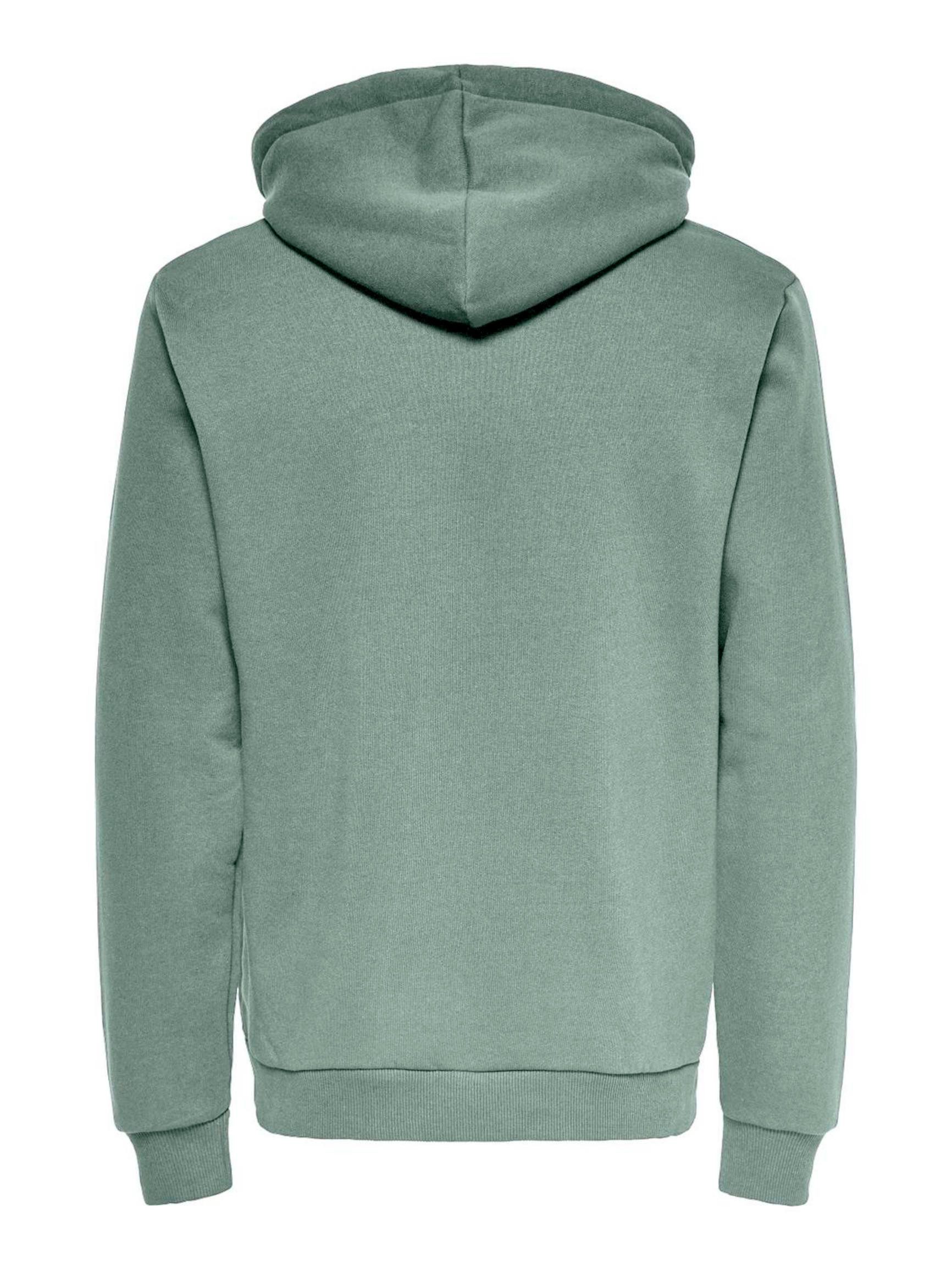 ONLY & SONS Hoodie günstig online kaufen