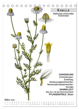 CALVENDO Wandkalender Heilpflanzen (Tischkalender 2024 DIN A5 hoch), CALVENDO Monatskalender
