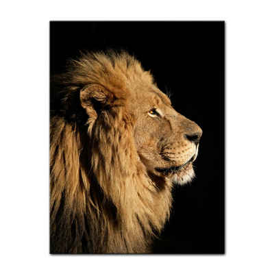 Bilderdepot24 Leinwandbild Großer Afrikanischer Löwe, Tiere