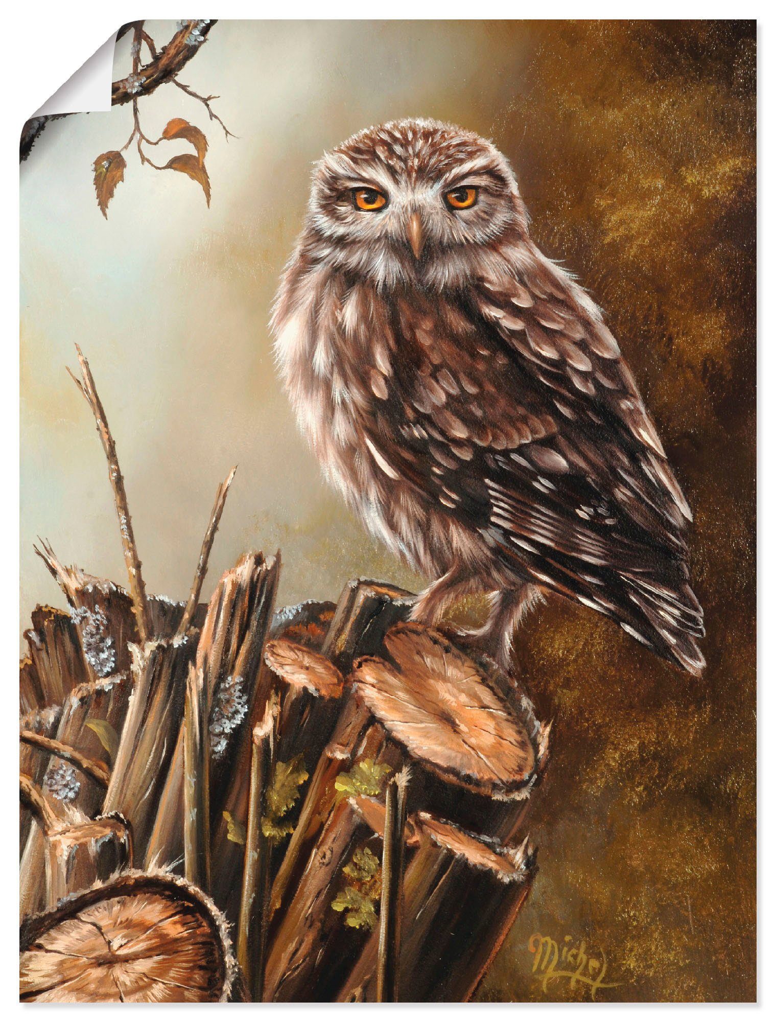 Artland Wandbild Eule, Vögel (1 St), als Leinwandbild, Wandaufkleber oder Poster in versch. Größen