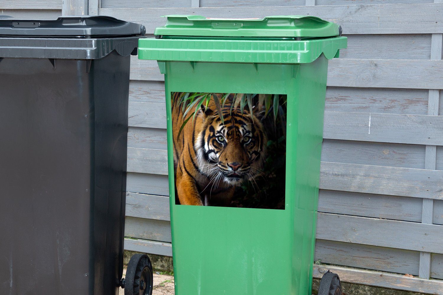 Abfalbehälter Sticker, - Tiger Container, Wild - (1 Mülltonne, - Mülleimer-aufkleber, Wandsticker - Dschungel Tiere Blätter MuchoWow St),