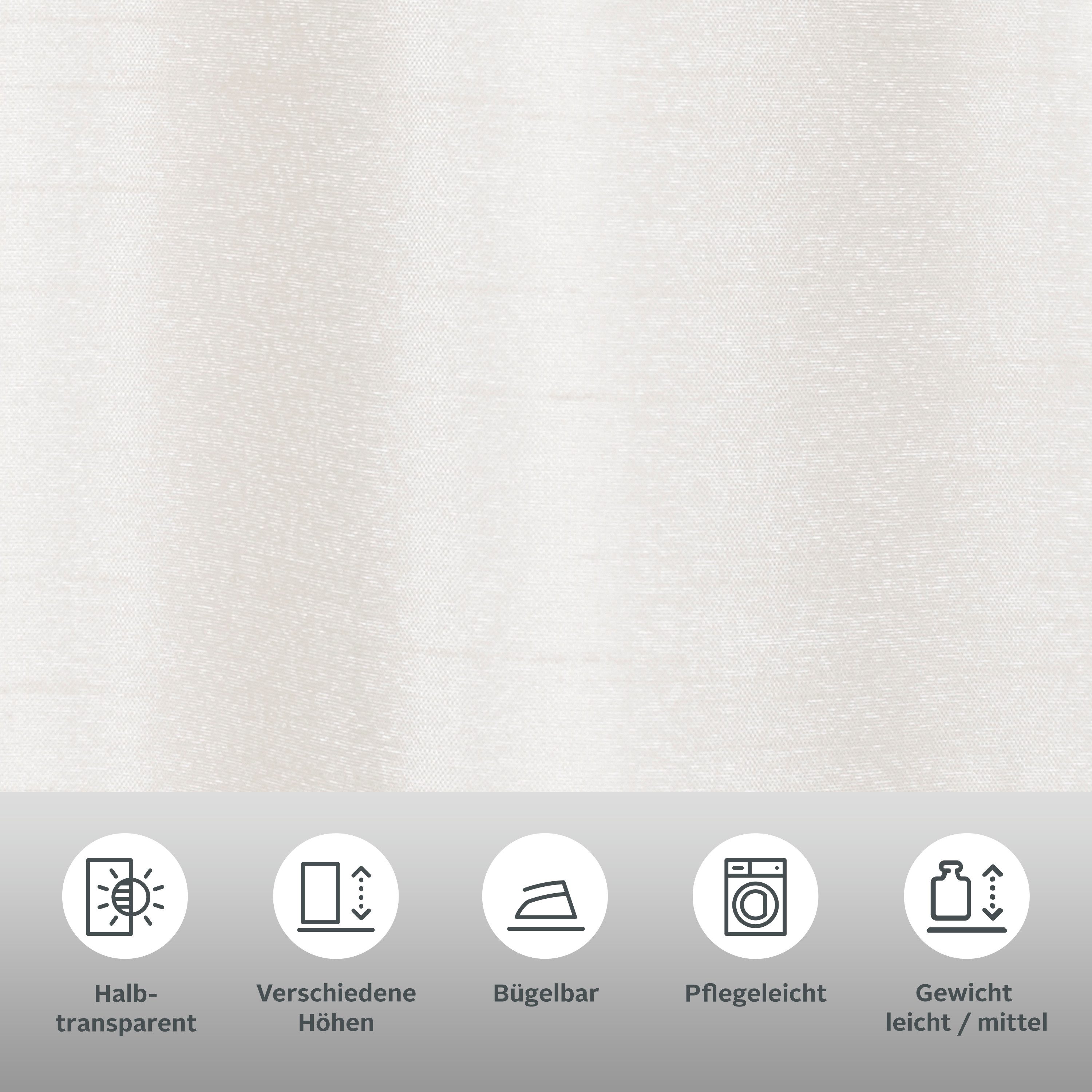 my home Scheibengardine VENEDIG (1 St), Stangendurchzug, halbtransparent, T günstig online kaufen