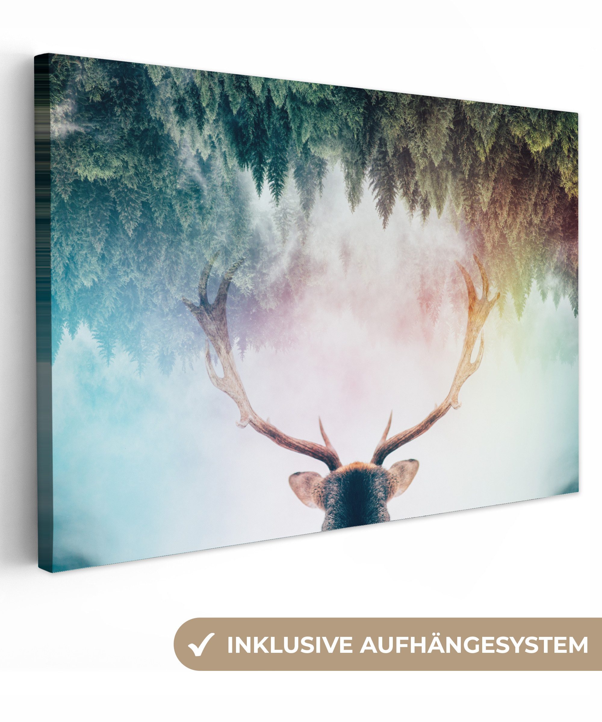 OneMillionCanvasses® Leinwandbild Hirsch - Geweih - günstig online kaufen