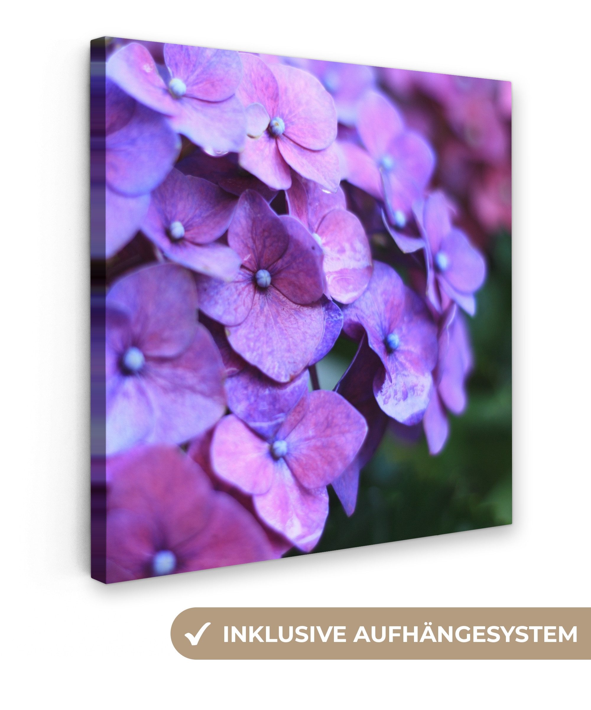 OneMillionCanvasses® Leinwandbild Blumen - Lila - günstig online kaufen