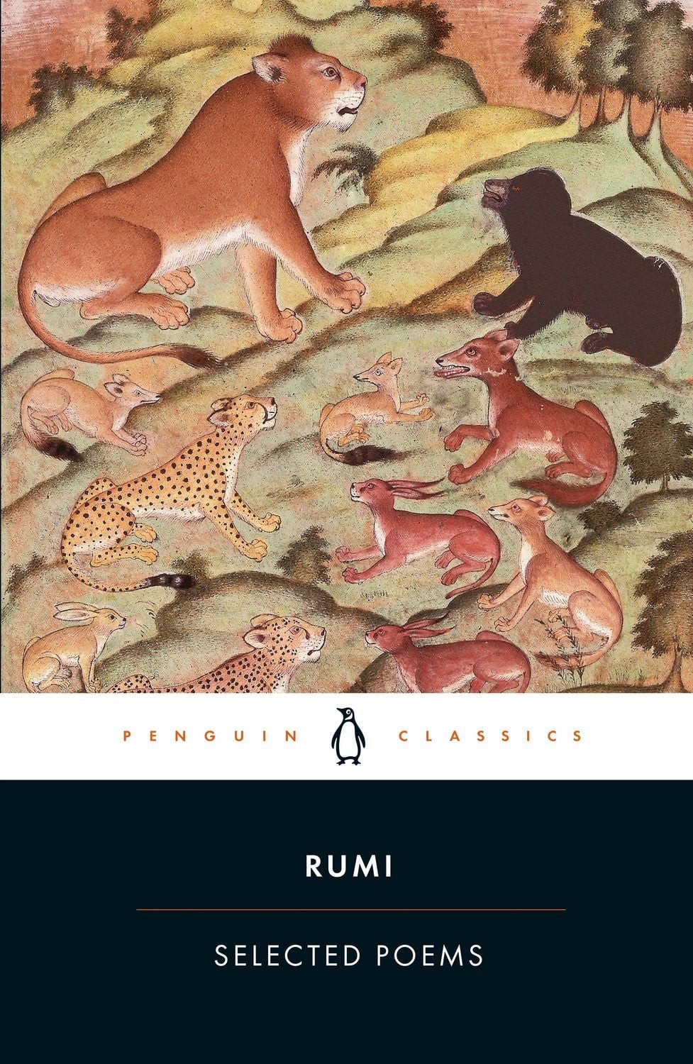 Selected Poems / Rumi