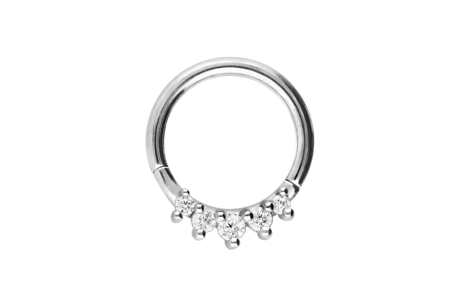 Piercing-Set Chirurgenstahl Segmentring Clicker 5 KRISTALLE