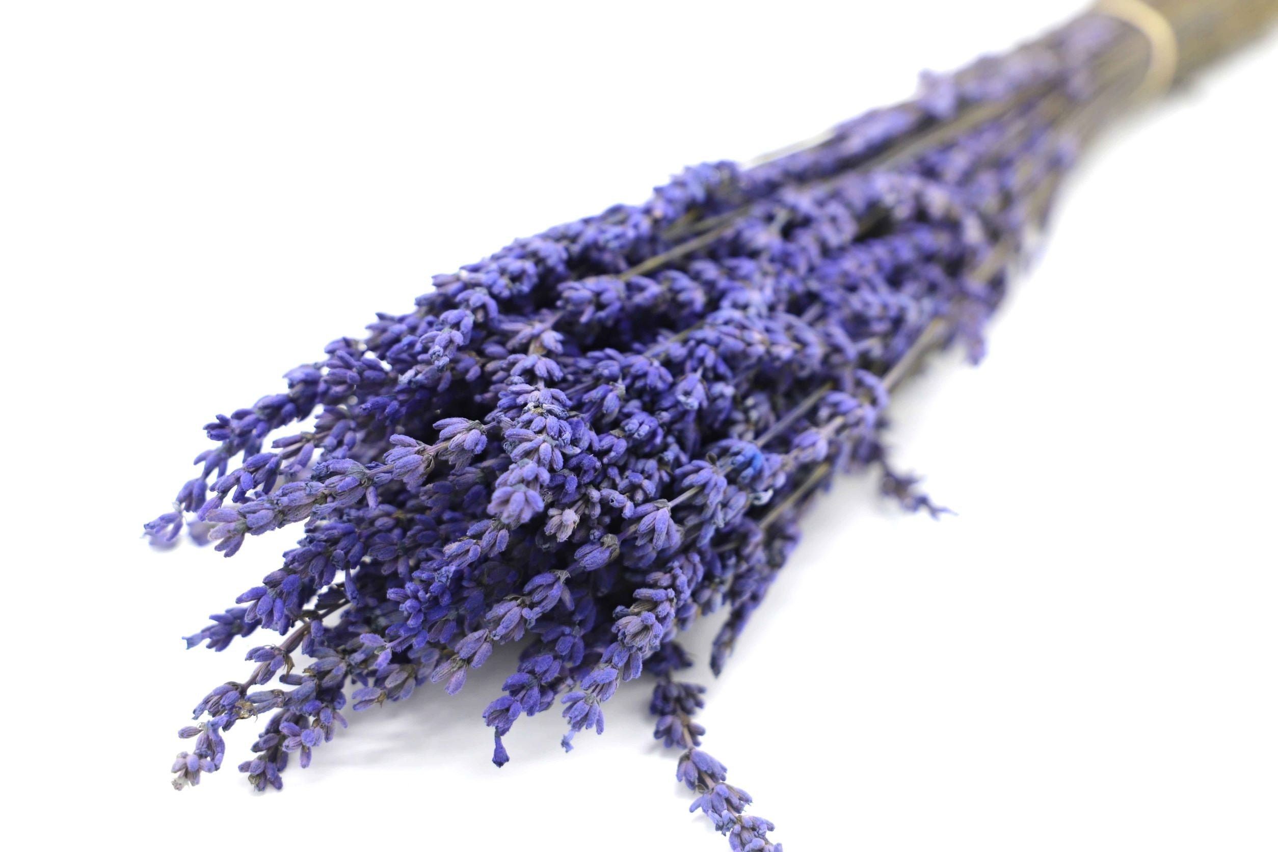 Trockenblume Getrockneter Lavendelstrauß in 2 - Hellblau, Farben Kunstharz.Art